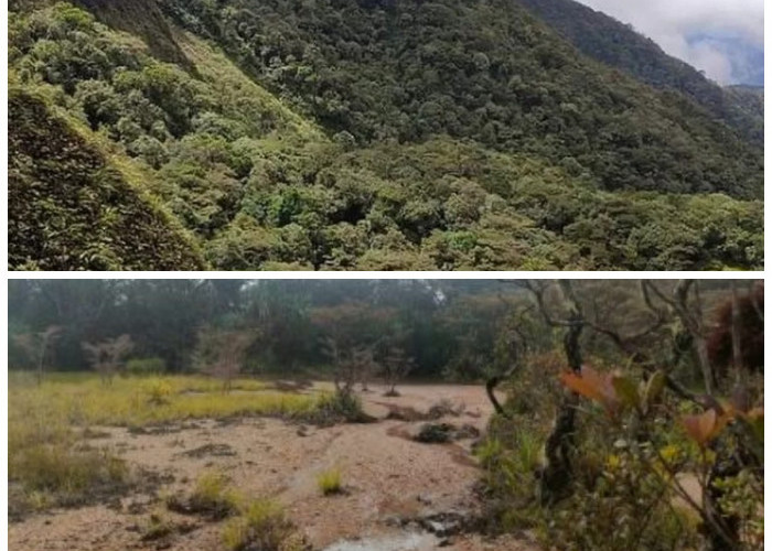 Misteri Gunung Kunyit: Cerita Depati Parbo dan Keangkeran Tempat Bersemayamnya