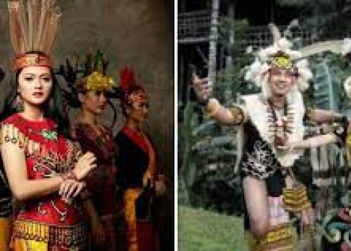 Wajib Diketahui! Ini 8 Suku Asli Pulau Kalimantan, Salahsatunya Suku Kutai