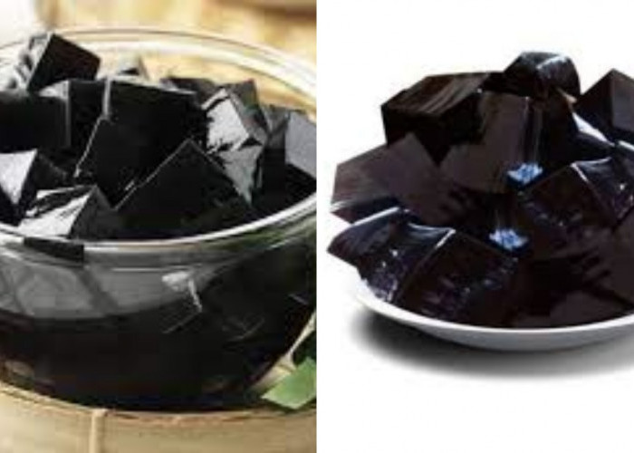 Catat Inilah 10 Manfaat Cincau Untuk Kesehatan Yang Perlu Diketahui