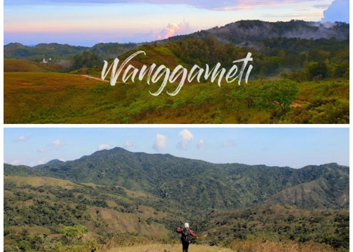 Gunung Wanggameti: Warisan Alam dan Tradisi di Atap Pulau Sumba