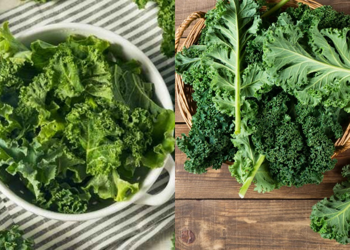 Menyeimbangkan Gula Darah Inilah Manfaat Daun Kale Yang Harus Kalian Ketahui! 