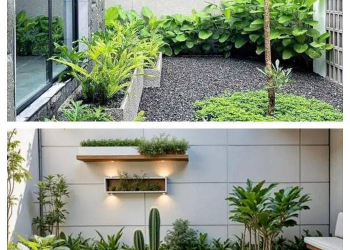 Inspirasi Taman Mini Indoor yang Estetik dan Sejuk, Bikin Rumah Terasa Lebih Hidup!