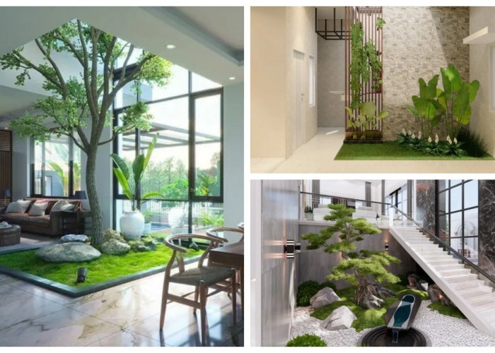 Inspirasi Taman Dalam Rumah Dekat Ruang Keluarga, Hunian Lebih Segar dan Nyaman!