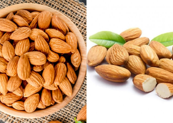 Menjaga Kesehatan Tulang Teryata Ini Guys Manfaat Dari Kacang Almond Kalian Harus Tahu! 