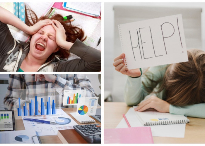 4 Jurusan dengan Mahasiswa Drop Out Terbanyak: Tantangan dan Solusinya