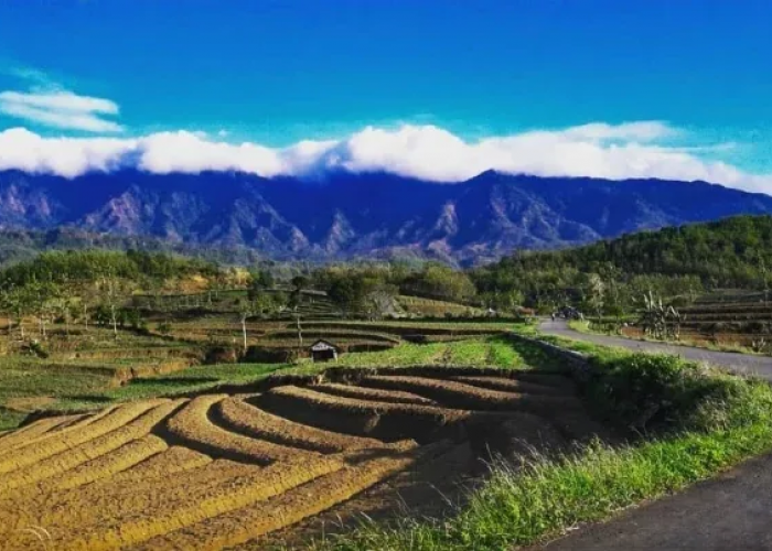 Menggali Sejarah dan Misteri Gunung Kumbang: Legenda yang Hidup di Alam