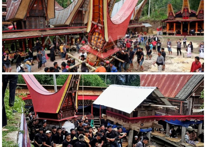 Mengungkap Tradisi dan Kearifan Lokal: Sisi Lain Kehidupan Suku Toraja yang Memukau