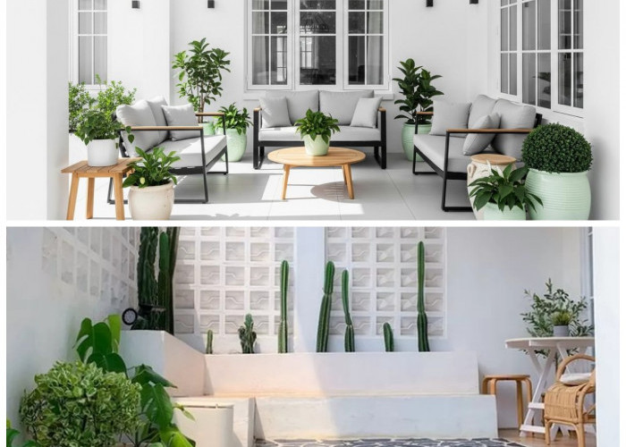 Update Teras Anda! 5 Elemen Dekorasi Anti-Mainstream yang Bikin Rumah Terlihat Mahal dan Kekinian