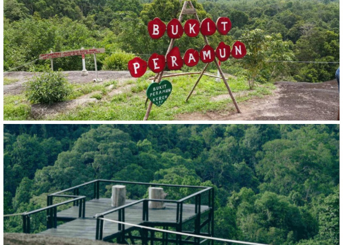 Bukit Peramun: Perjalanan dari Warisan Pengobatan Tradisional ke Inovasi Wisata Digital Berbasis Kearifan Loka