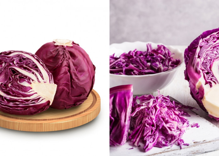 Wow Ini Teryata Manfaat Kol Ungu Untuk Kesehatan Yang Jarang Diketahui! 