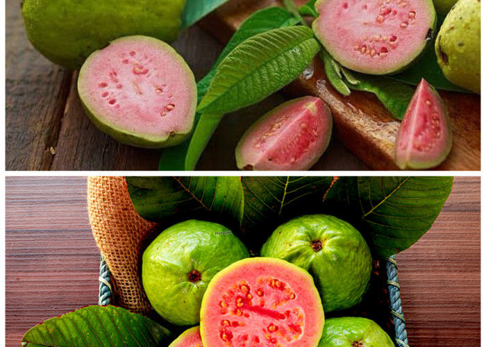 7 Manfaat Jambu Biji untuk Kesehatan yang Sayang Dilewatkan