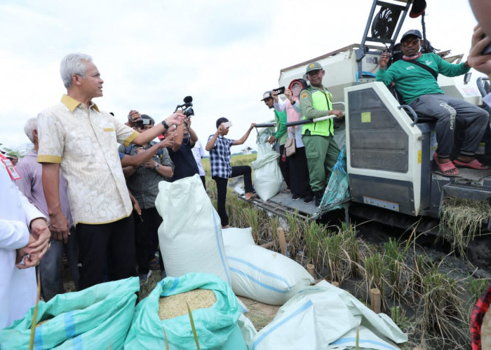 Ganjar Ajak Petani Milenial Ikut Genjot Produktivitas Padi