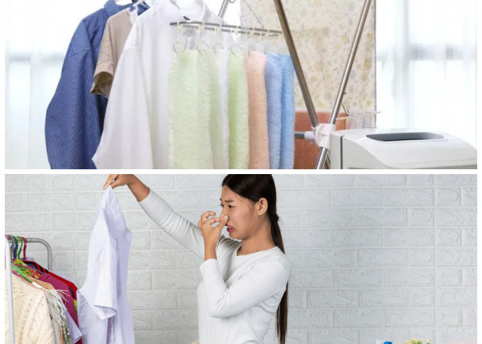 Tak Perlu Sinar Matahari! Cara Ampuh Mengeringkan Baju Agar Tetap Kering dan Tidak Apek