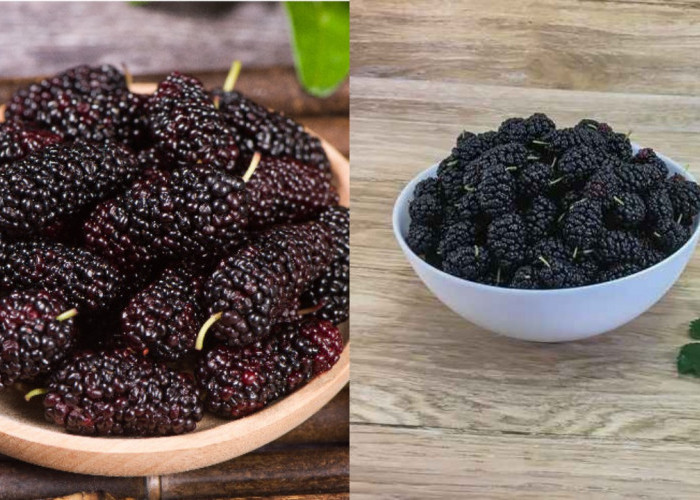 Manfaat Luar Biasa Buah Murbei bagi Kesehatan Tubuhmu!