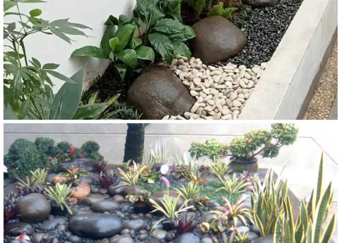 Inspirasi Taman Batu Kali: 5 Desain Sederhana yang Membuat Rumah Minimalis dan Tropis Lebih Segar