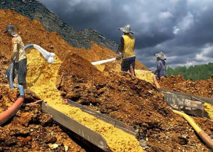 Potensi Emas Murni 1 Juta Ton di Bengkulu, Peluang Emas Baru bagi Industri Pertambangan