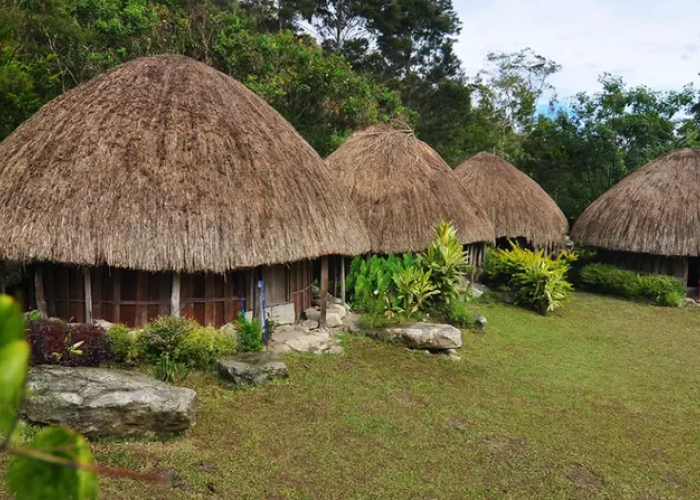 Berikut ini 3 Rumah Adat Suku Papua yang Miliki Filosopi Sejarah yang Unik