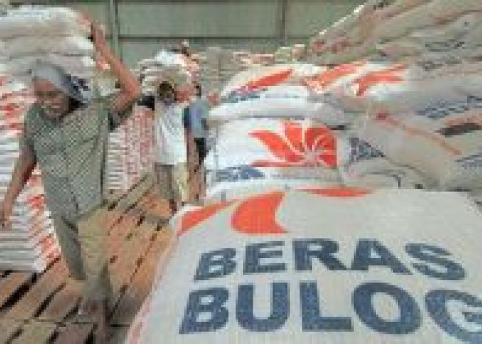 Terbongkar! Korupsi Beras Premium, Menggali Jaringan Mafia di Nusa Tenggara Timur