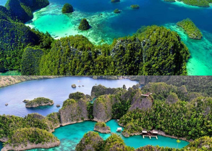 Surganya Wisatawan! Inilah Pesona Cantik yang Dimiliki Papua Barat 