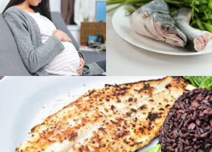 Manfaat dan Aturan Konsumsi Ikan Patin bagi Ibu Hamil Yang Harus Diketahui!