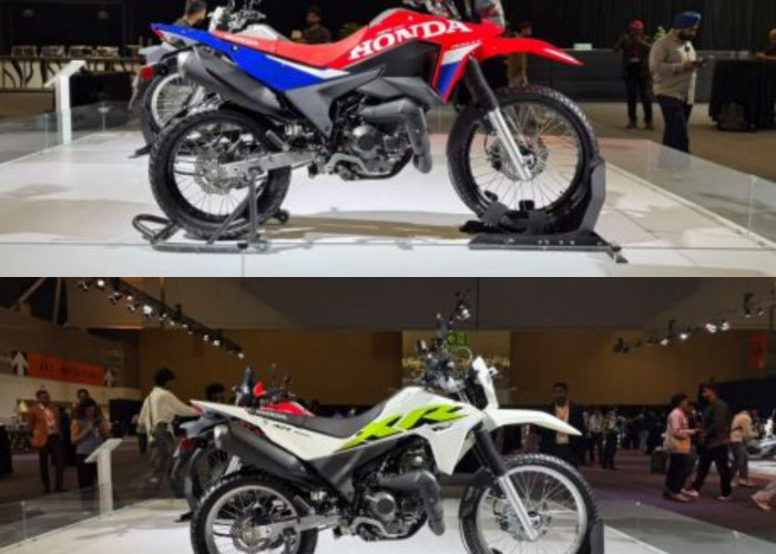 Lebih Gagah dan Berkarakter, Inilah Honda XR300 Rally Versi Vrindavan Pengganti CRF Rally