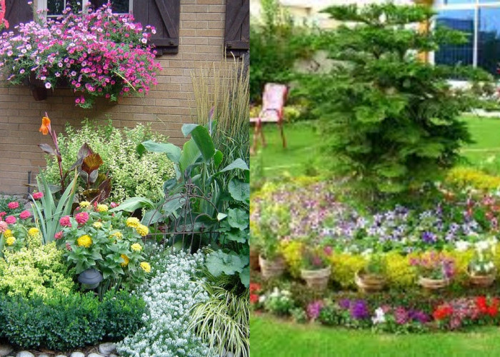 Tanaman Hias Pekarangan Rumah yang Bikin Tampilan Makin Estetik!