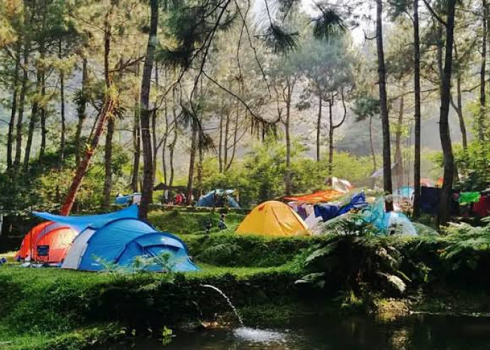 Nyaman Buat Healing, Ini Rekomendasi 5 Tempat Camping Ground Keren Di Bogor!