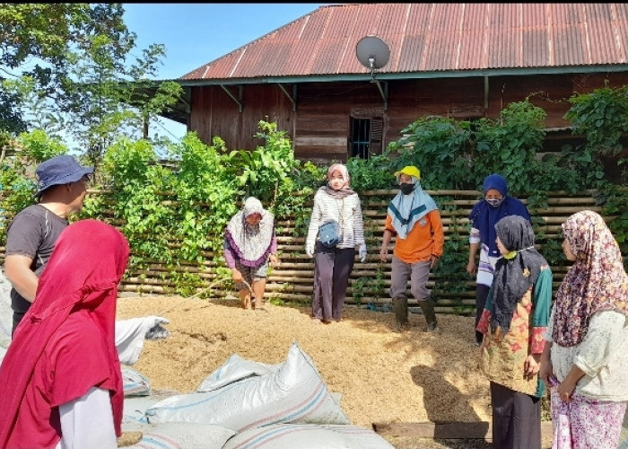 Berikan Aksi Perubahan, KWT Dempo Karya Berseri Produksi 2 Ton Pupuk Kompos