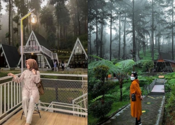 Jelajahi Pesona Alam Jawa Tengah di Purwokerto, Ini Rekomendasi Tempat Libur Tahun Baru Bareng Keluarga