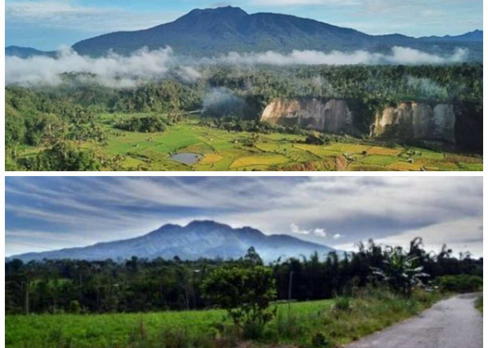 Menelusuri Sejarah Puncak Gunung Pesagi: Jejak Sakral di Atap Tertinggi Lampung Barat