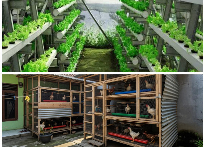 Tampil Segar dan Berkelas! 3 Ide Desain Ruang Tamu Terbuka Bernuansa Alami