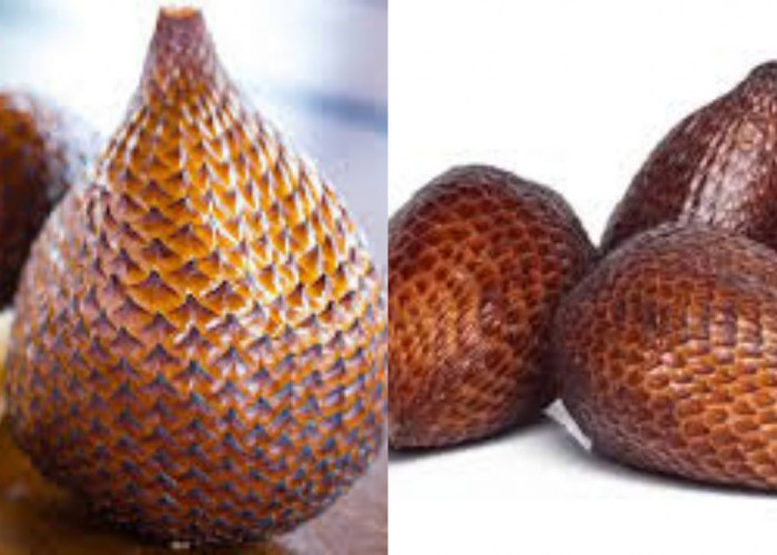 Catat Yuk Guys! Ini Manfaat Salak Untuk Kesehatan Tubuh Yang Jarang Diketahui