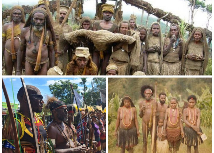 Menyikapi Sejarah Suku Amungme: Melacak Jejak Budaya dan Perjuangan Penjaga Tanah Adat Papua!