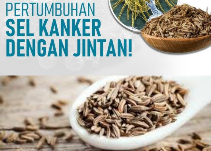 Benarkah Jinten Putih Bisa Meningkatkan Kekebalan Tubuh? Cek Faktanya!