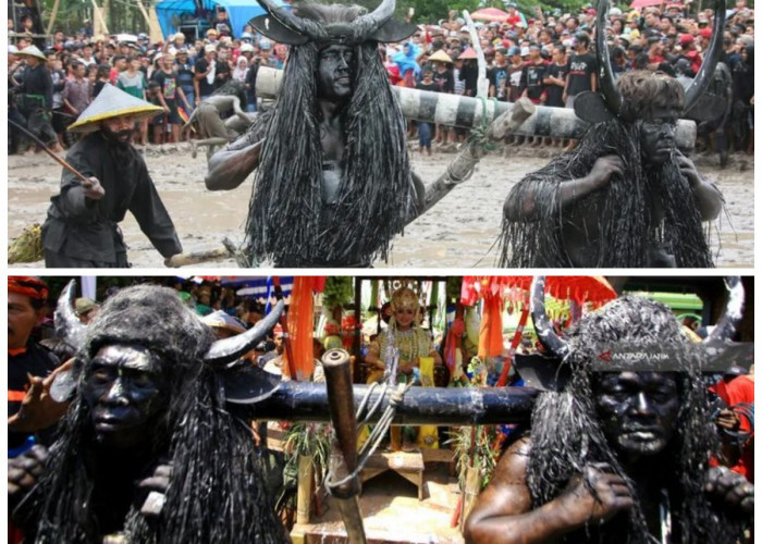 Sejarah dan Makna Upacara Adat Kebo-keboan di Banyuwangi: Tradisi Mistis Tolak Bala yang Masih Lestari