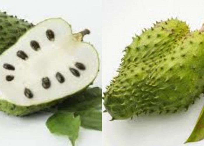 Kamu Harus Tahu Inilah Manfaat Buah Sirsak Untuk Wanita Yang Menyehatkan!