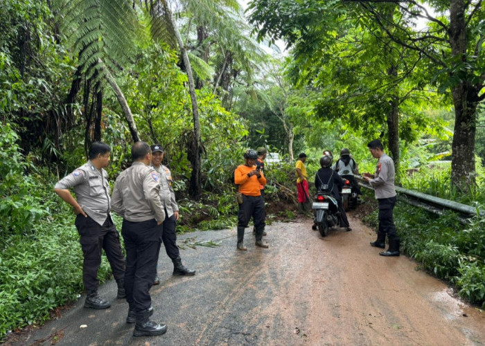 Longsor Tutup Akses Wisata Gunung Dempo, Arus  Lalin Sempat Lumpuh Total