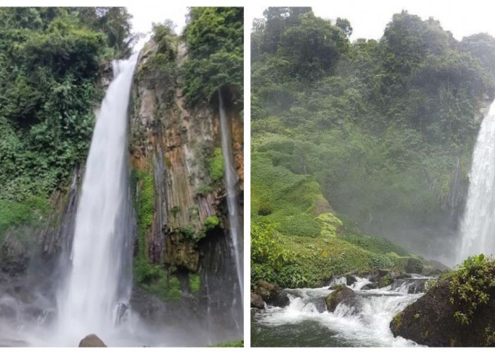 Pesona Tersembunyi Air Terjun Tri Muara Karang: Wisata Air yang Menyegarkan di Rejang Lebong