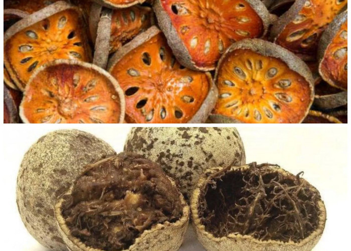 Jarang Diketahui! Buah Kawista Ternyata Punya Banyak Manfaat untuk Kesehatan Tubuh