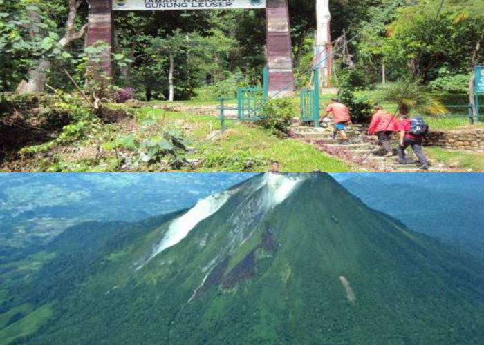 Eksplorasi Gunung Leuser, Mengungkap Fakta-fakta dan Misteri yang Menyelimuti