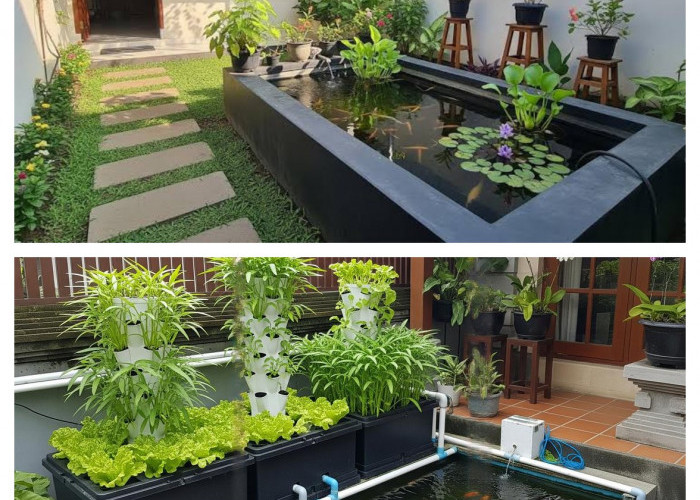 7 Inspirasi Pekarangan Sempit Jadi Produktif: Kombinasi Kolam Lele dan Kebun Sayur