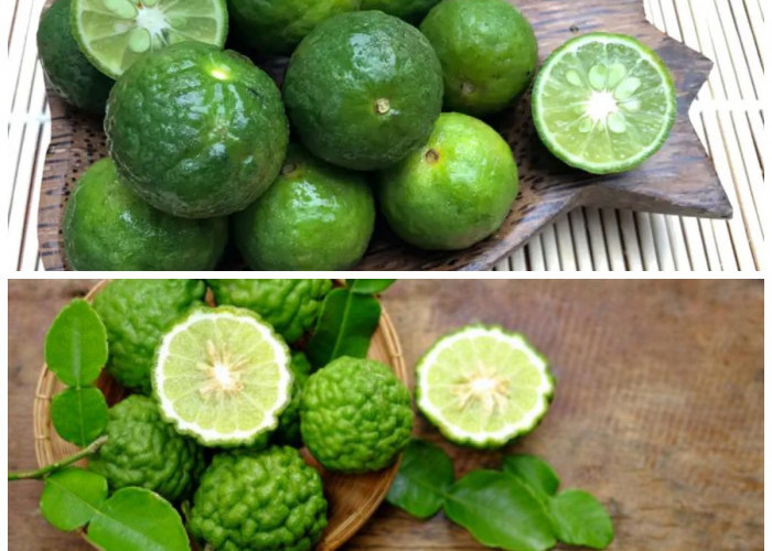 Sehat Alami dengan Jeruk Limau: Ini 8 Manfaat yang Sayang untuk Dilewatkan!