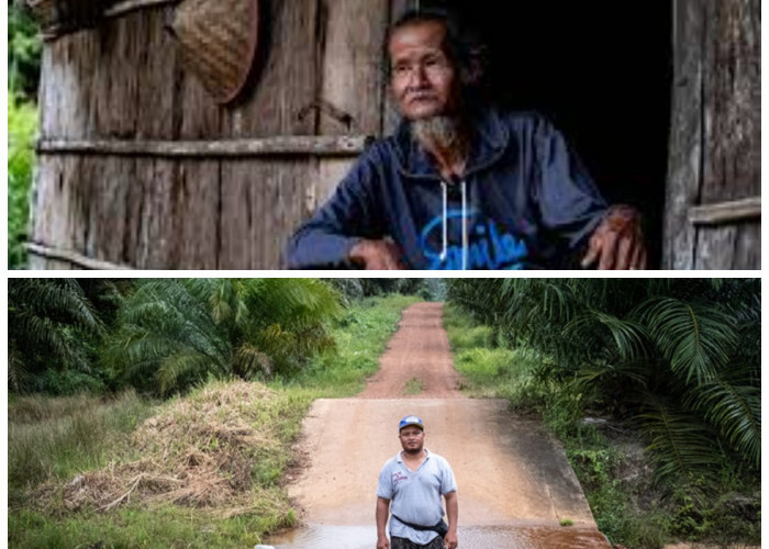 Suku Mapur dan Peran Mereka sebagai Penjaga Alam Pulau Bangka: Mengungkap Alasannya