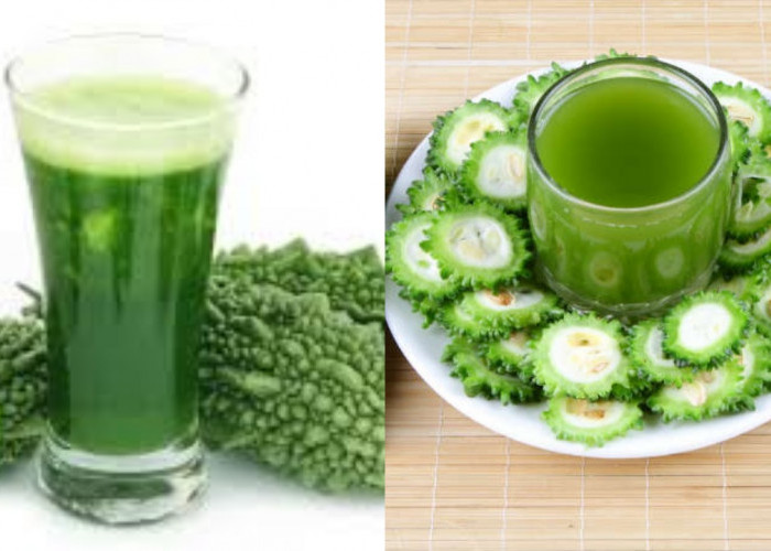 Catat Inilah 6 Manfaat Jus Pare Untuk Kesehatan Yang Harus Kalian Tahu!