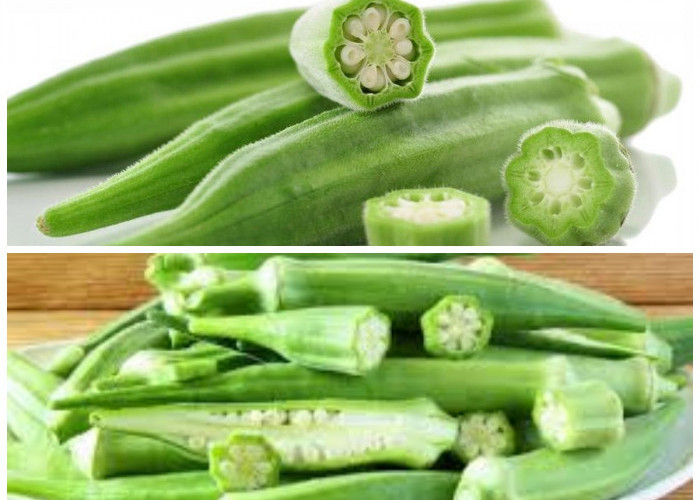 Berikut Ini Manfaat Okra Hijau Untuk Kesehatan Tubuh Yang Jarang Diketahui!