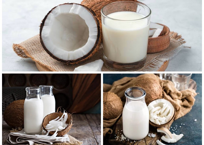 Manfaat Santan Lebih Dekat bagi Kesehatan Tubuh: Rahasia Nutrisi dari Dapur Tradisional!