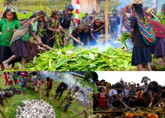 Ritual Unik Suku Dani Papua Bakar Batu. Sejarah dan Tahapan Proses Tradisi Ini