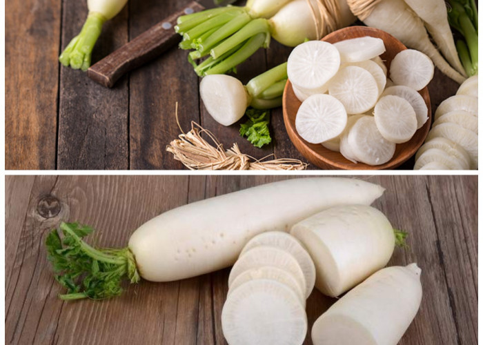 Manfaat Lobak Putih bagi Kesehatan Tubuh: Rahasia Sayuran Akar yang Kaya Nutrisi dan Penangkal Penyakit Alami