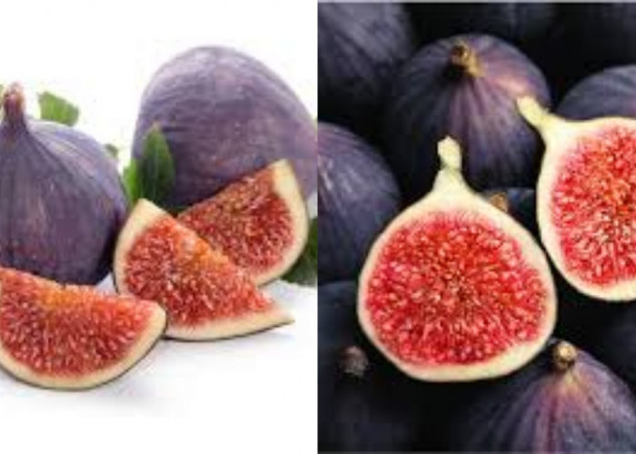 Yuk Intip! Manfaat Buah Tin Untuk Kesehatan Yang Sayang Dilewatkan