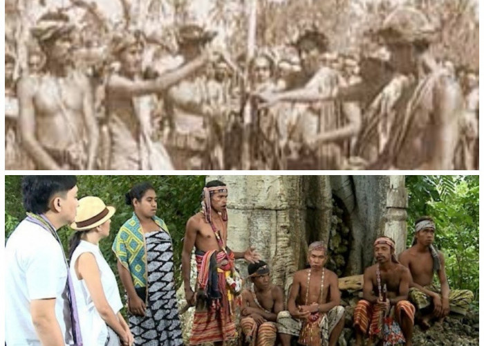 Mengenal Suku Dawan: Jejak Sejarah, Asal Usul, dan Tradisi Unik Masyarakat Timor